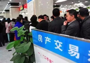 廊坊市民請(qǐng)注意 這些資金今后不得作為購(gòu)房首付