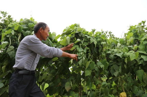 守護餐桌安全，傳遞誠信力量 2023年宜昌食品銷售行業楷模名單揭曉