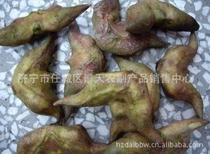 濟寧市任城區譜天農副產品銷售中心 優質食品銷售的專業平臺