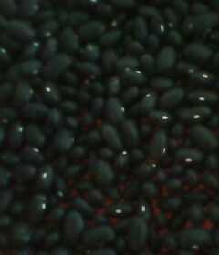 銷售優質紅小豆 日本紅與農安紅——世界工廠網農副產品優選