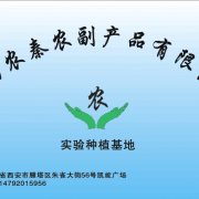 陜西農秦農副產品 連接綠色菌香與健康餐桌的專業橋梁